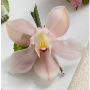 Ladies Simple Cymbidium Orchid Corsage 