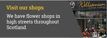 image - Visit Our Shops