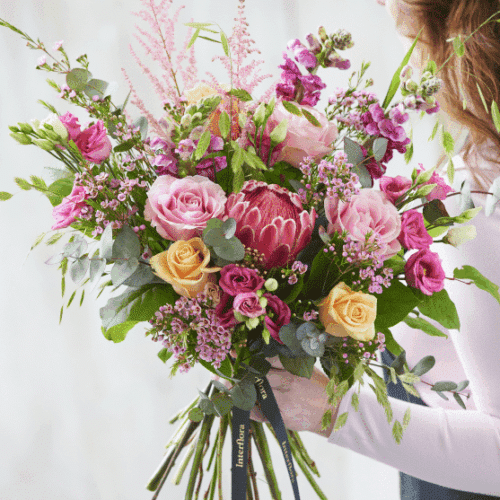 Htu8 1 1.png Htu8 1 1.png