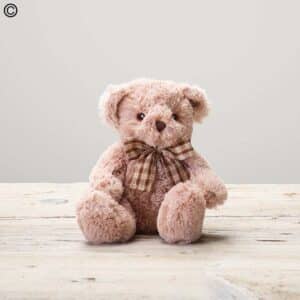 James Jr Bear[1]