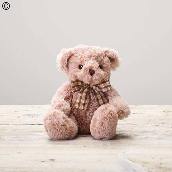 James Jr Bear[1]