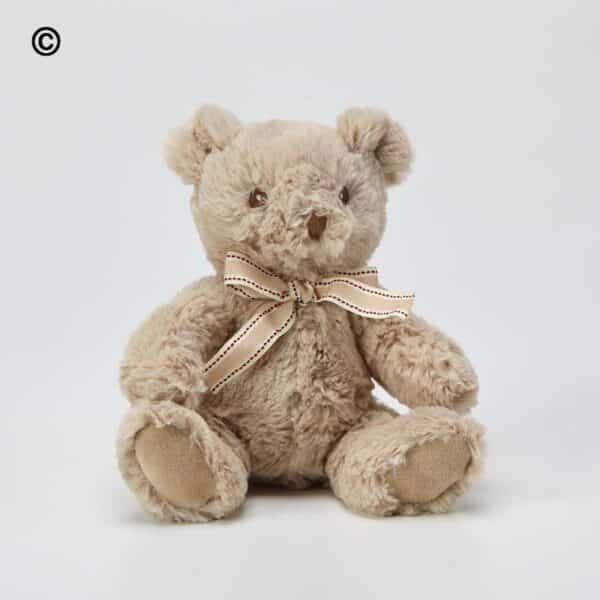Recycled Ralph Bear[1]