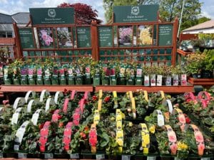 Gardencentre5 Gardencentre5