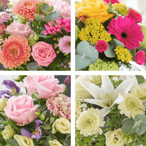 Ccarru0100 1.png Ccarru0100 1.png