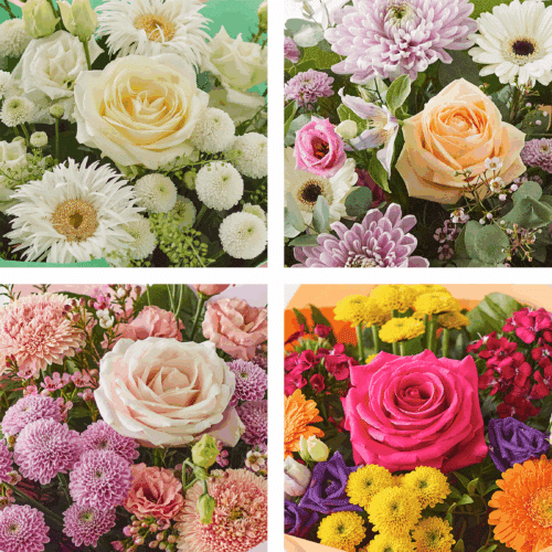 Ccgbu0100 1 4.png Ccgbu0100 1 4.png