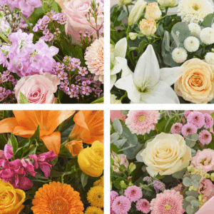 Cchtu0100 1.png Cchtu0100 1.png