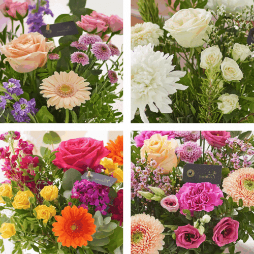 Ccvu0100 1.png Ccvu0100 1.png