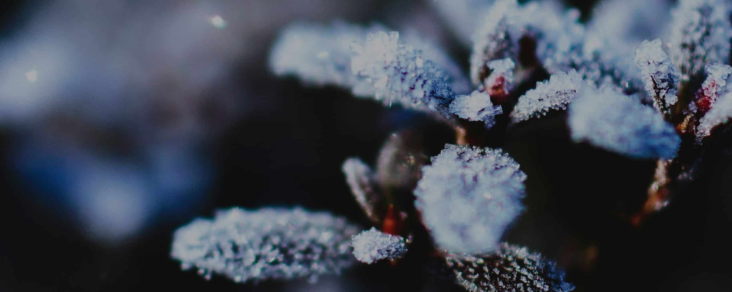 Winter Web Banners 04