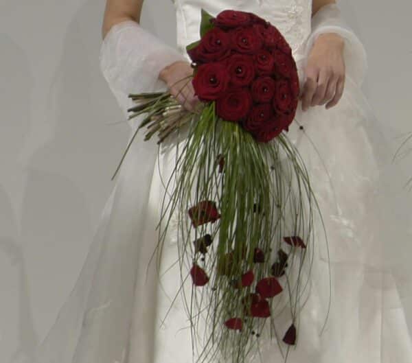 Picture5