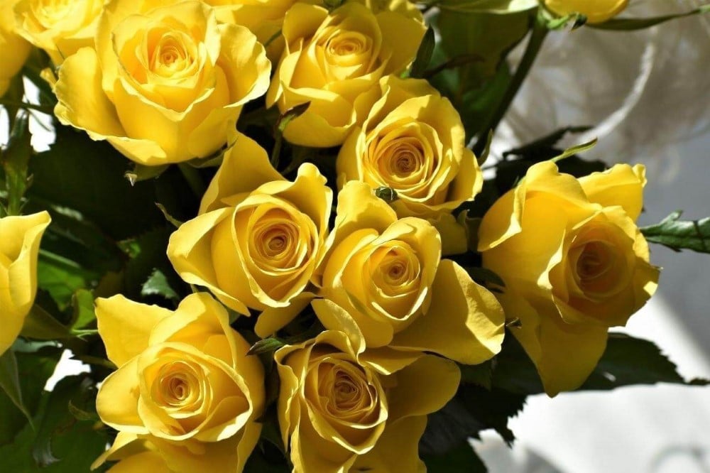 Bouquet of bright orange, pink, and yellow roses