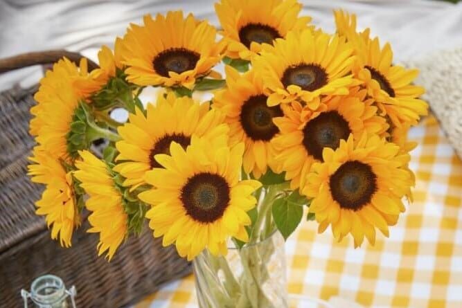 Beautiful bouquet of summer sunflowers