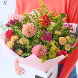 Dahlia Hand-tied