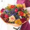 Acht0300 1