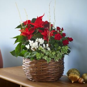 Mixed Planter