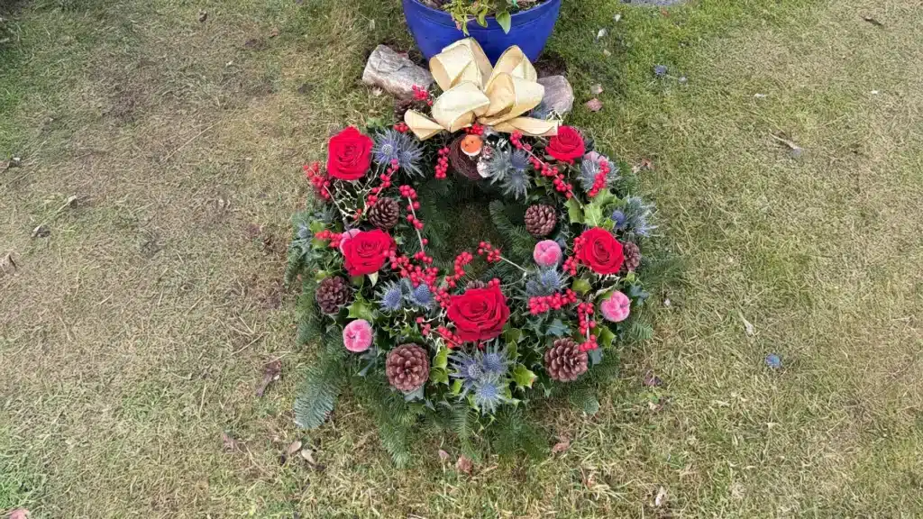 Cemetery Christmas flowers wreath of red roses, pinecones, seasonal foliage, and berries tied with a gold ribbon and lying on grass-covered ground