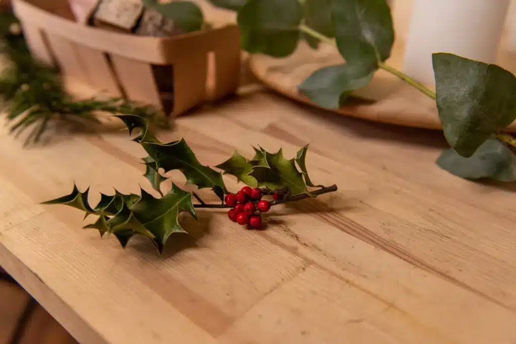 Close-up of red holly berries and green leaves against a background of warm Christmas lights