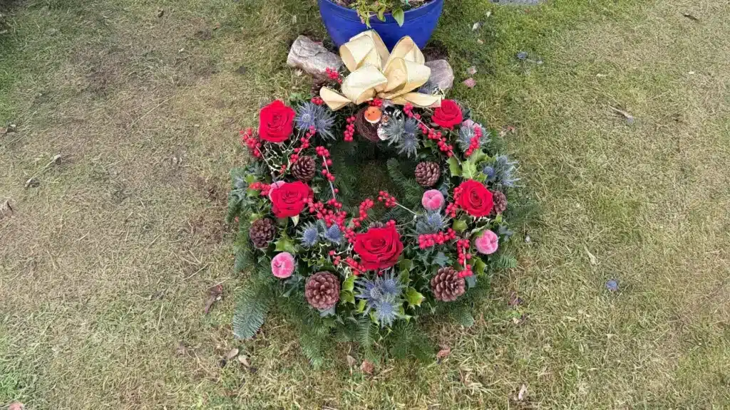 Christmas memorial wreath with red roses, pinecones, thistles, and a gold ribbon laid on grass.