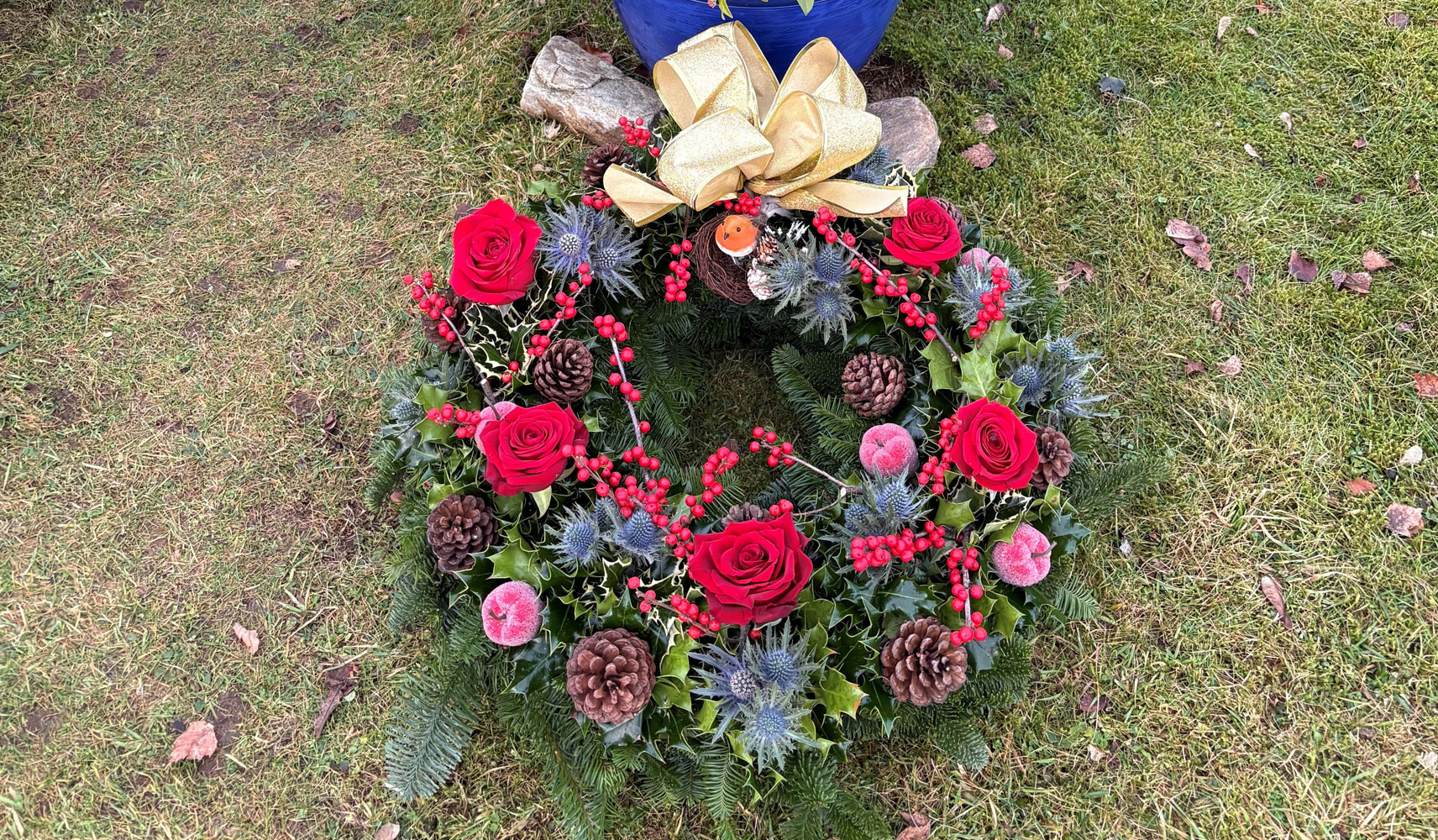 Christmas memorial wreath with red roses, pinecones, thistles, and a gold ribbon laid on grass.