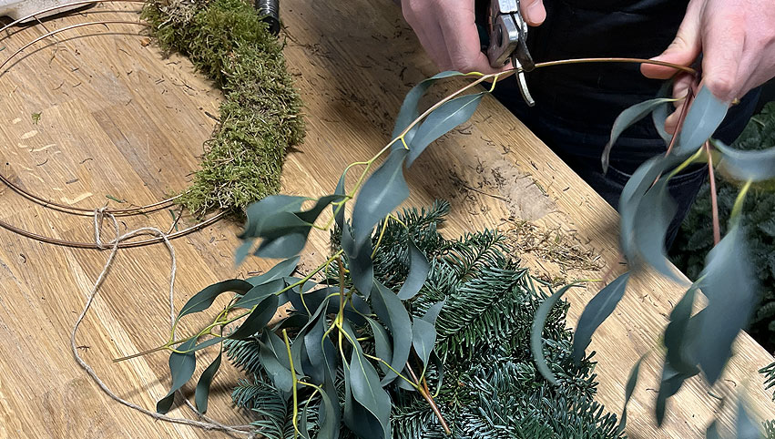 Florist preparing seasonal foliage to add to a Christmas wreath.