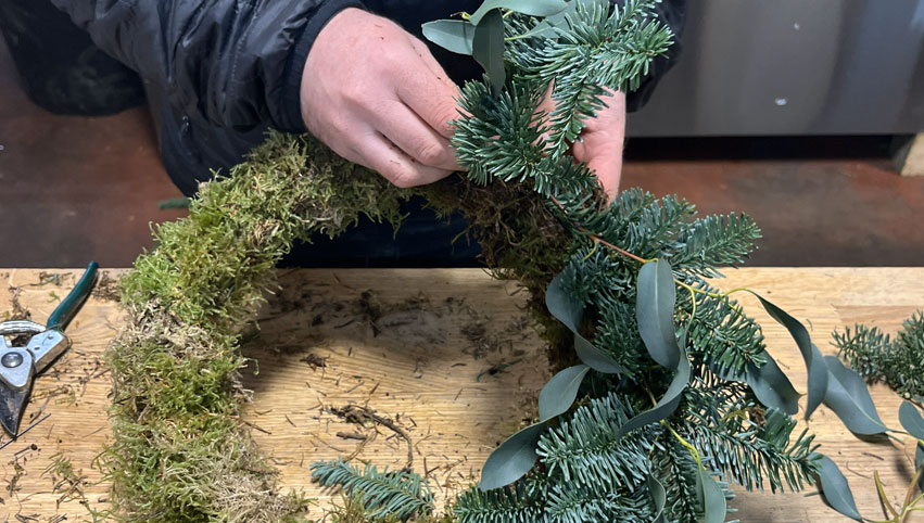 Fresh seasonal foliage being added to a wreath moss base.