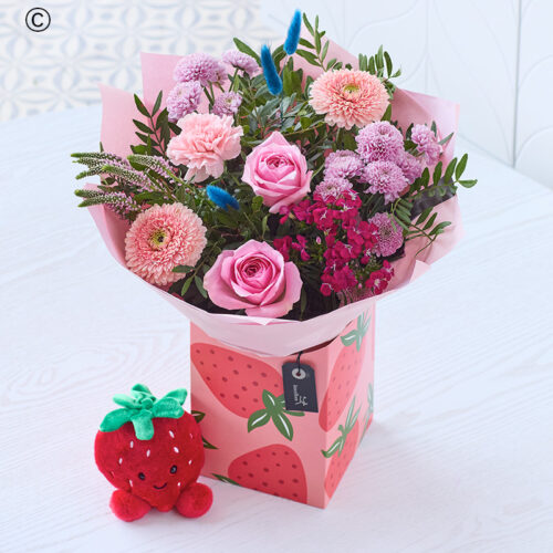 Summer Strawberry Gift Box and Strawberry Plushie Toy