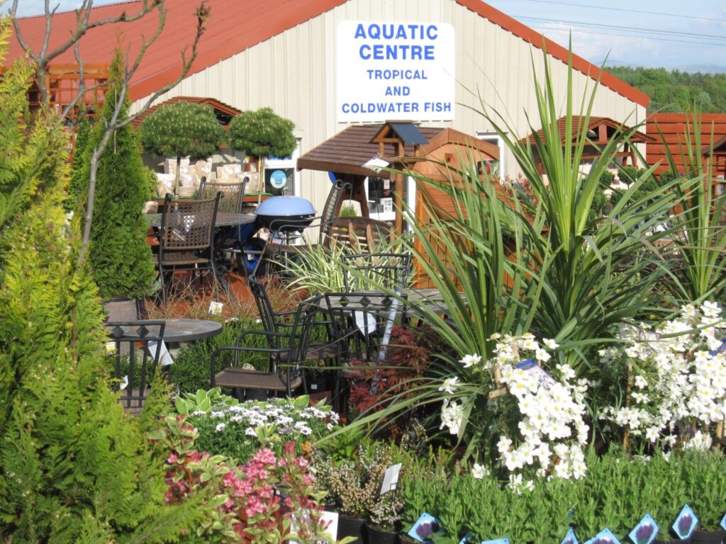 Outdoor area at Williamson's Garden Centre Livingston showing the Aquatic Centre sign, patio furniture, cordylines and flowering plants