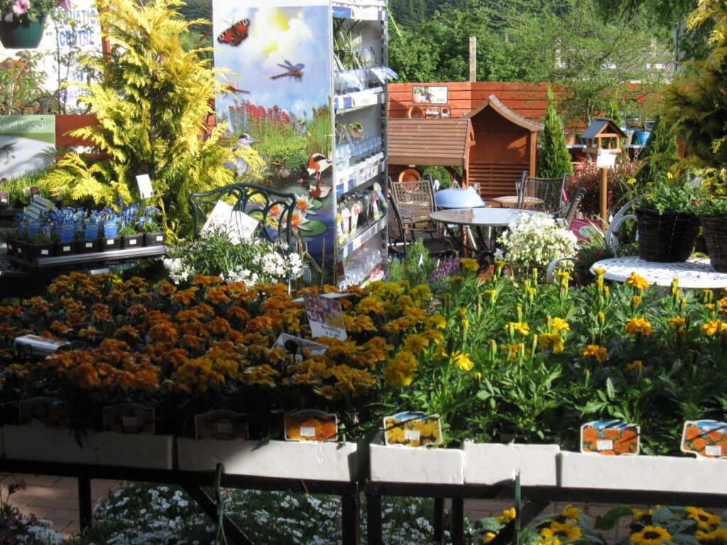 Outdoor plant and garden display at Williamson's Garden Centre Livingston with marigolds, conifers and garden sheds for sale