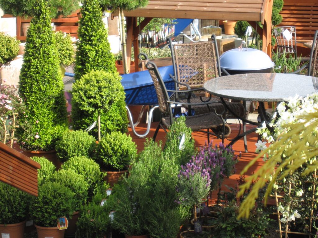 Potted herbs, conifers and shrubs on display at Williamson's Garden Centre Livingston