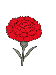 Carnation icon, symbolising deep love and gratitude.