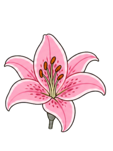 Lily icon, symbolising passion and long-lasting love.